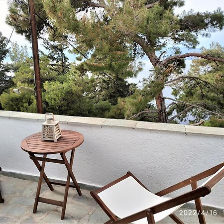 Pine Trees And Sea View Houses In Hydra - Daphne, Chloe, Myrto, Eleni Værelse billede