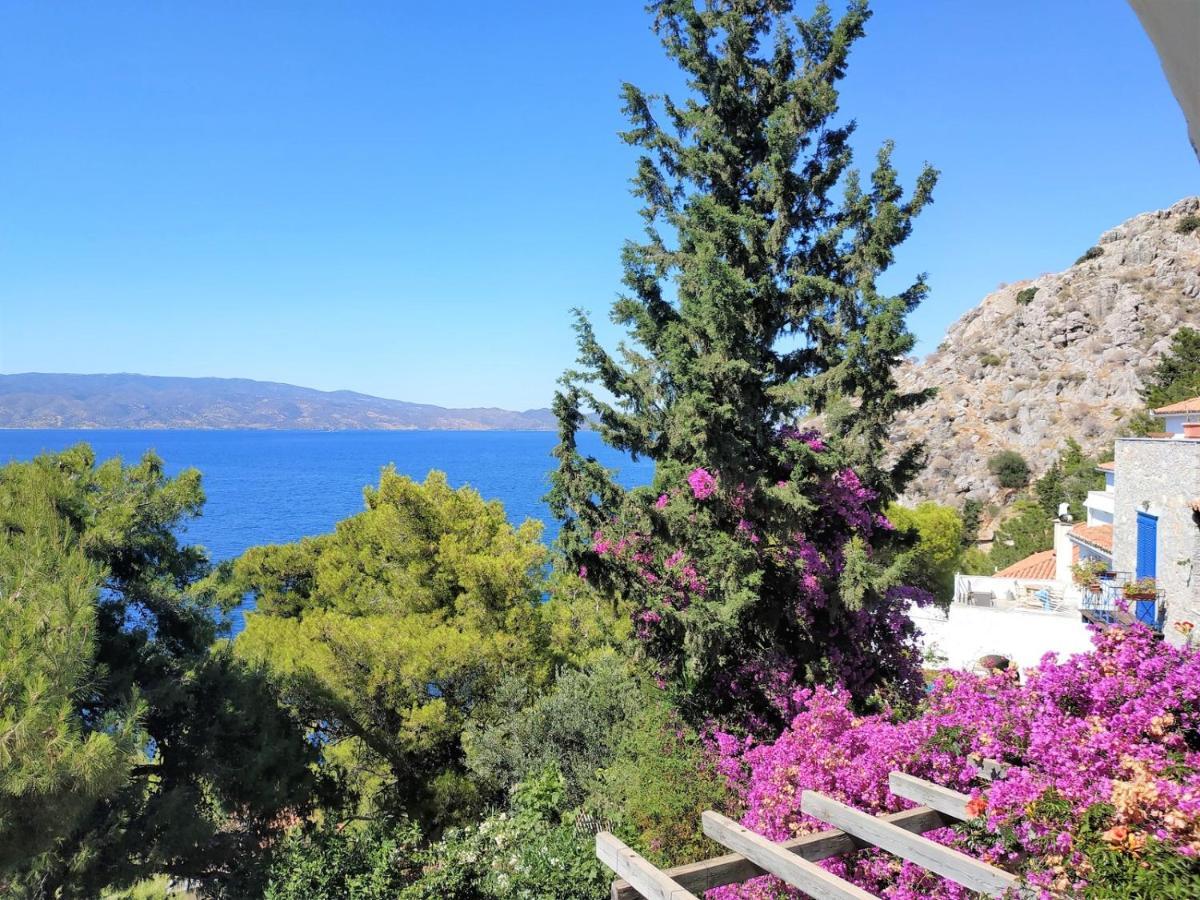 Pine Trees And Sea View Houses In Hydra - Daphne, Chloe, Myrto, Eleni Eksteriør billede