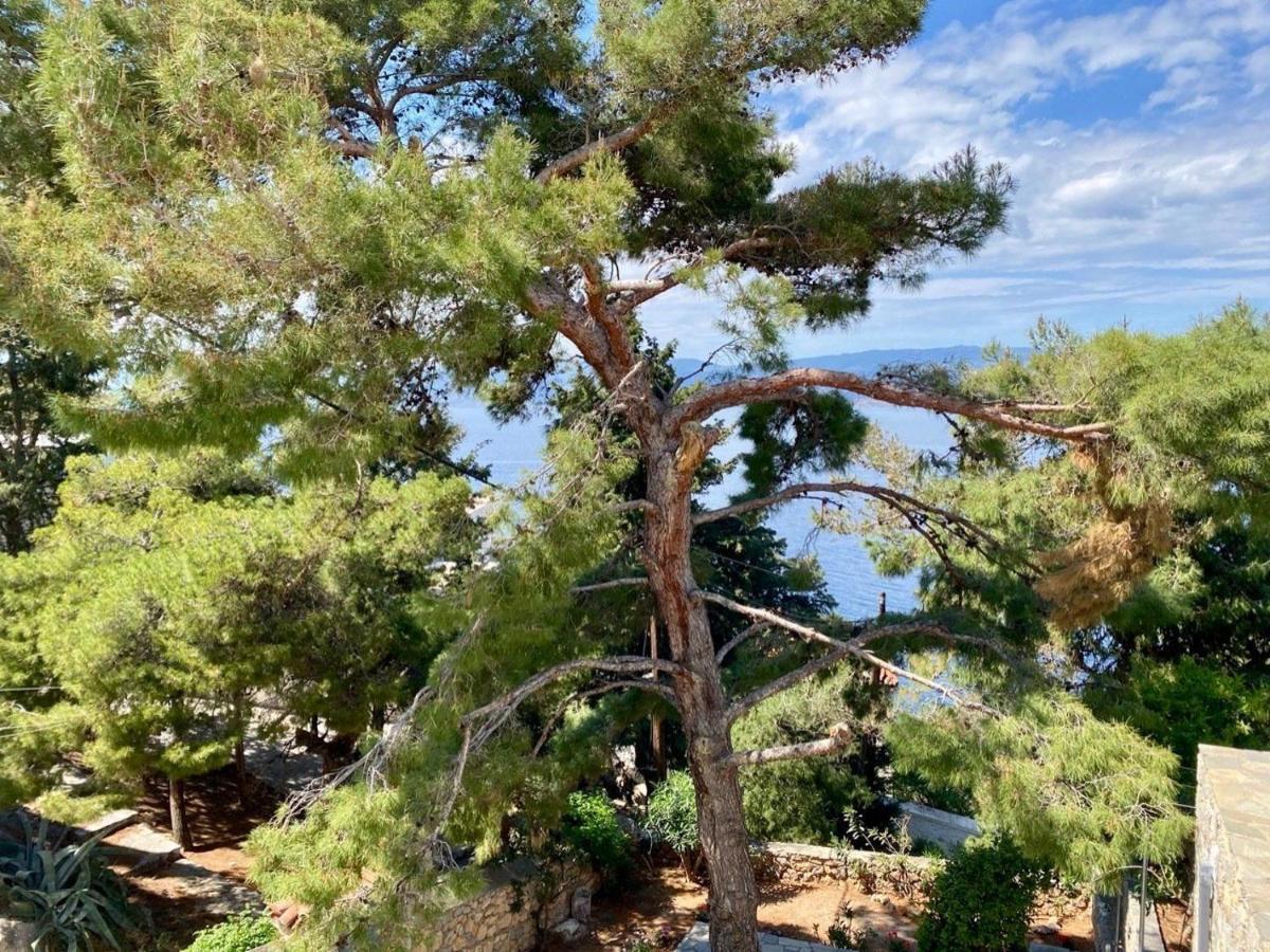 Pine Trees And Sea View Houses In Hydra - Daphne, Chloe, Myrto, Eleni Eksteriør billede