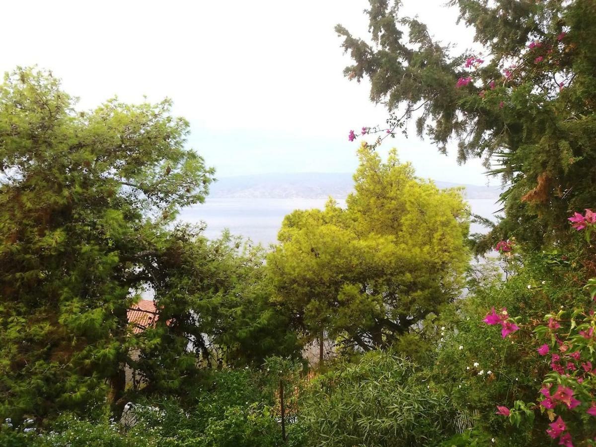 Pine Trees And Sea View Houses In Hydra - Daphne, Chloe, Myrto, Eleni Eksteriør billede