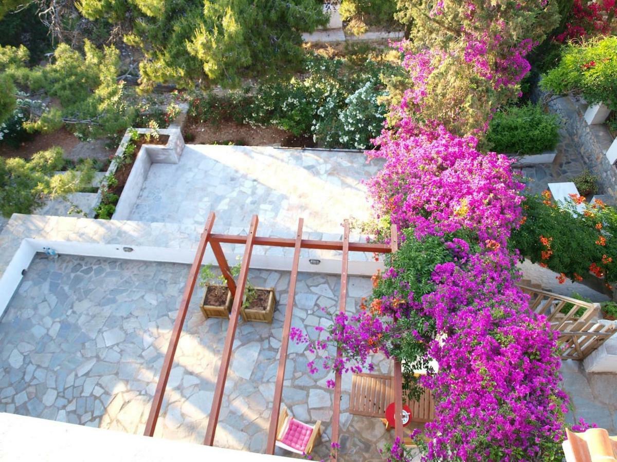 Pine Trees And Sea View Houses In Hydra - Daphne, Chloe, Myrto, Eleni Eksteriør billede